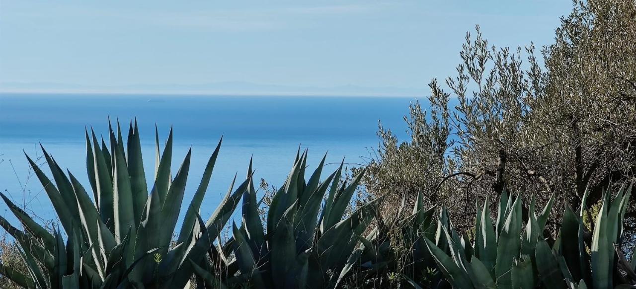 Campo Agave Luxury Tents Sayalonga エクステリア 写真