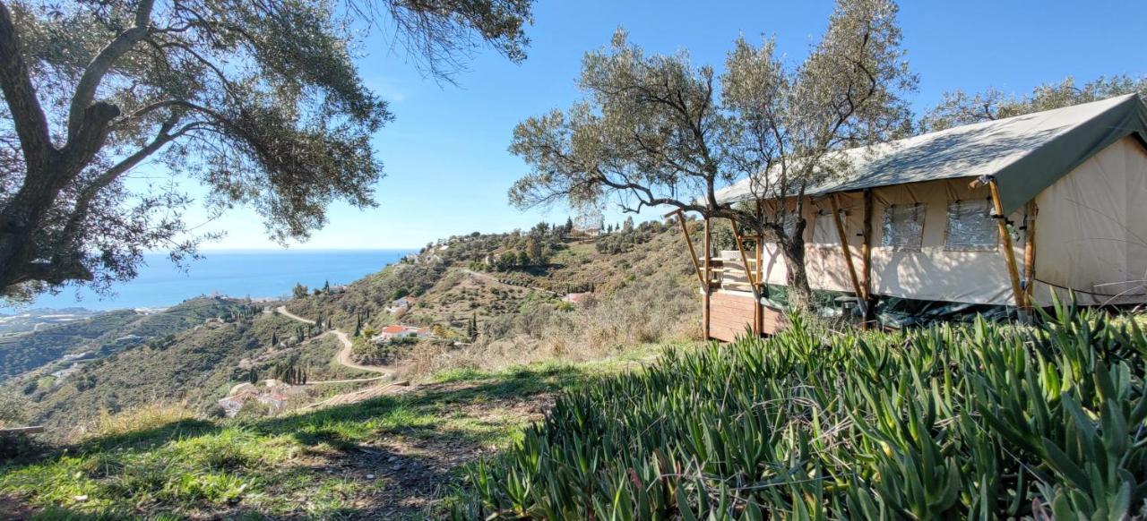 Campo Agave Luxury Tents Sayalonga エクステリア 写真