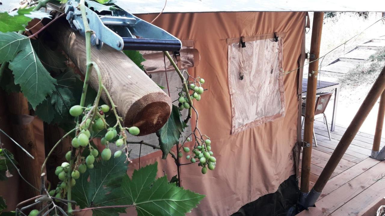 Campo Agave Luxury Tents Sayalonga エクステリア 写真
