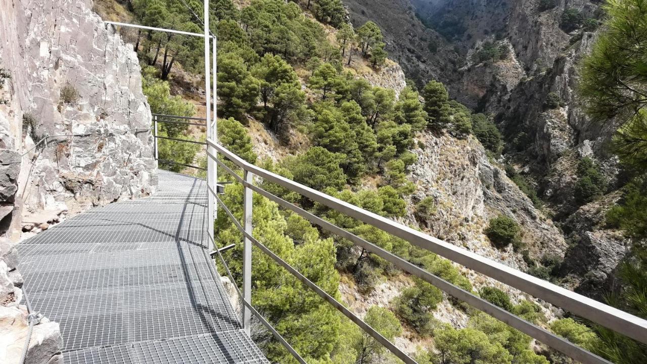 Campo Agave Luxury Tents Sayalonga エクステリア 写真