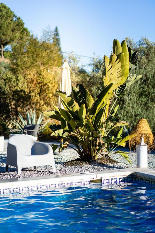 Campo Agave Luxury Tents Sayalonga エクステリア 写真