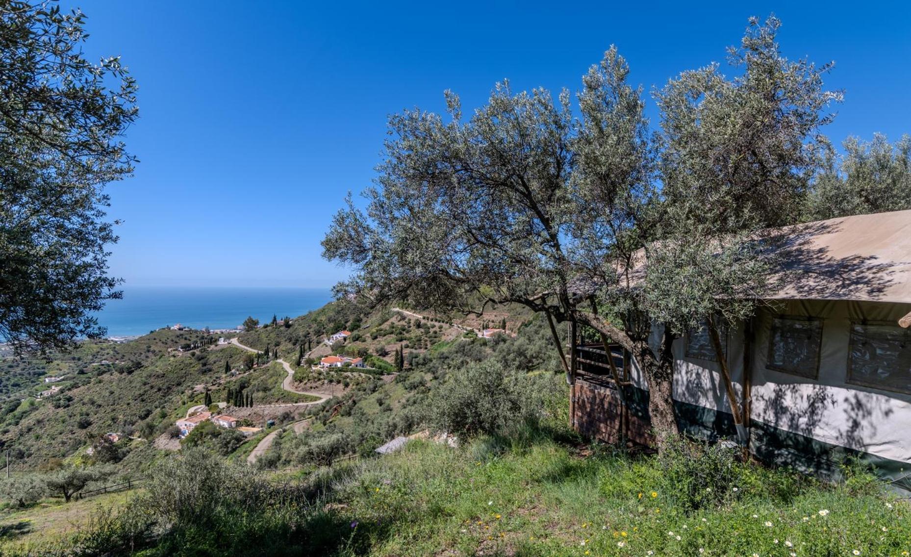 Campo Agave Luxury Tents Sayalonga エクステリア 写真